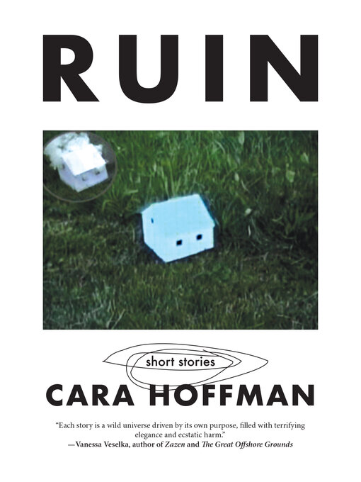 Title details for RUIN by Cara Hoffman - Available